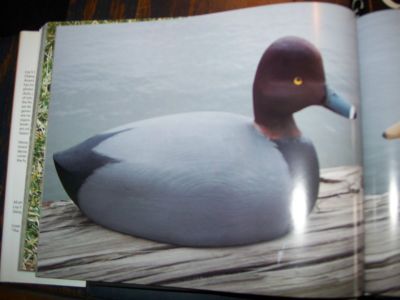 Decoys Sixty living and outstanding North American carvers 5