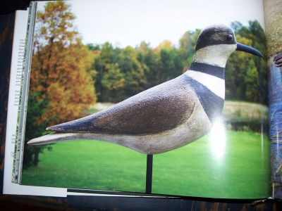 Decoys Sixty living and outstanding North American carvers 8