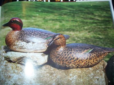 Decoys North America's one hundred greatest 2
