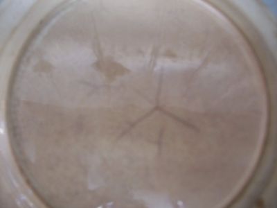 Assiette Thomas La Porte St Louis 3