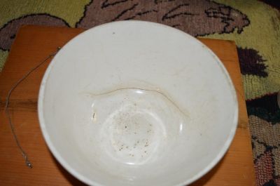 Beaver stoneware bowl 5