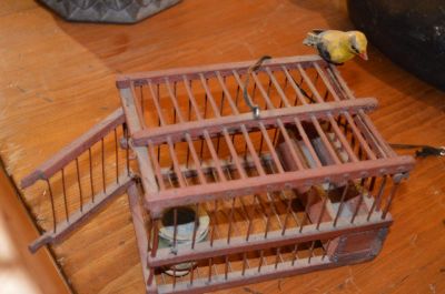 Cage à oiseaux 4