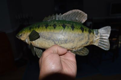 Perchaude en tôle 5 Perchaude en tôle 5