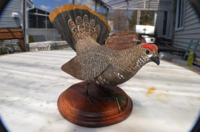 Beatifull carved Spruce Grouse 2
