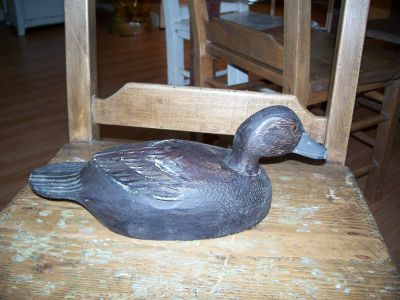 Belle sarcelle de Ouimet 3