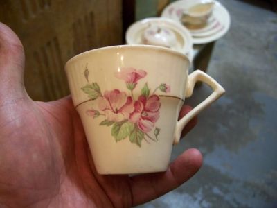 Nice Myot dish set for 7  8