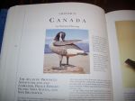 The Great Book of Wildfowl Decoys7