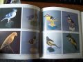 Un monde peupl&eacute; d'animaux Wilfrid Richard3