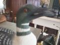 Wilfrid Guillon decoy carving4