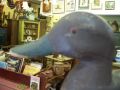 Paul Emile Lacombe decoy8