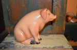 Banque cochon en plâtre3