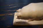 pig carving signed2