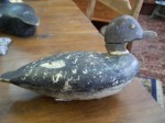 Beau petit canard frais sur le march&eacute; 