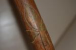 Native walking stick or cane8