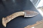 Native curved knife - Antiques