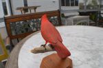 carved cardinal - Antiques