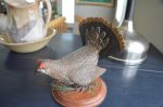 Beatifull carved Spruce Grouse6