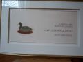 La Petite Poule D'Eau de Jean Paul lemieux - Antiquit�s