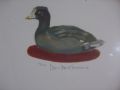 La Petite Poule D'Eau de Jean Paul lemieux