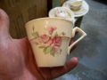 Nice Myot dish set for 7 8